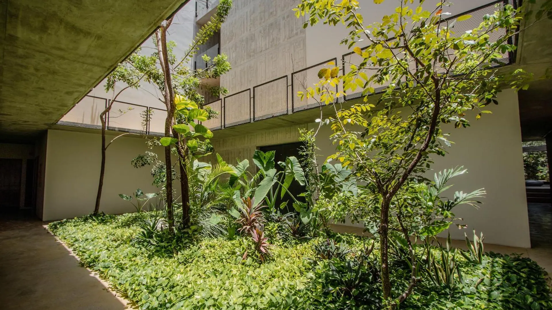 Apartament Depto De Lujo Con Plunge Pool Privada Tulum 0*,
