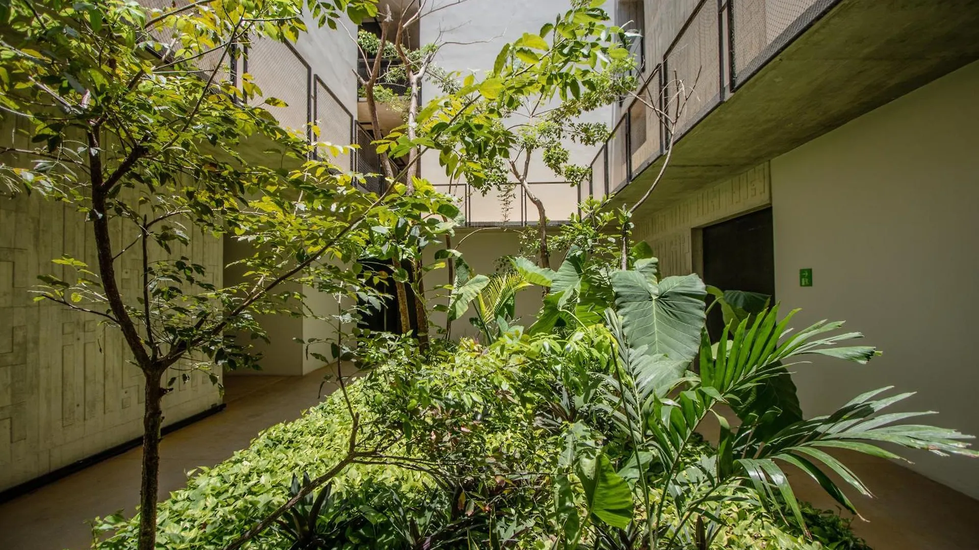 Depto De Lujo Con Plunge Pool Privada Apartment Tulum